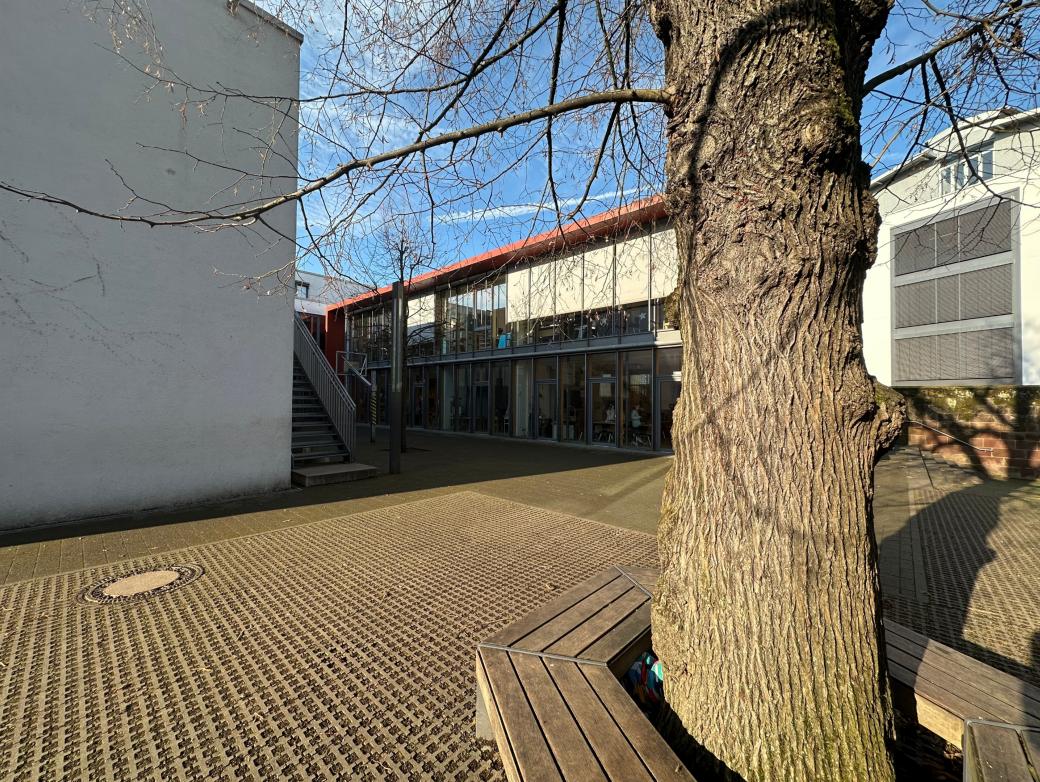 Man blickt auf eine hölzerne Baumbank auf dem Schulhof der Grundschule am Dom.