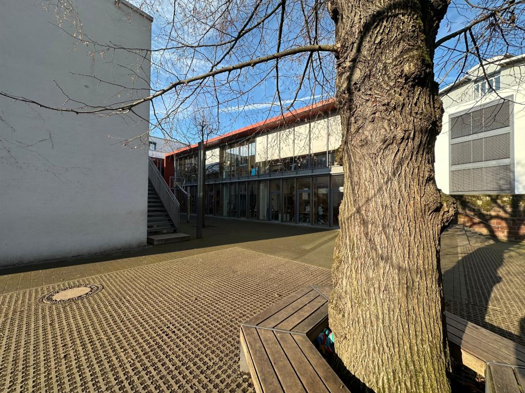 Man blickt auf eine hölzerne Baumbank auf dem Schulhof der Grundschule am Dom.