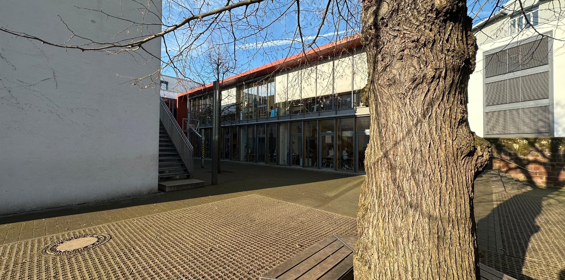 Man blickt auf eine hölzerne Baumbank auf dem Schulhof der Grundschule am Dom.