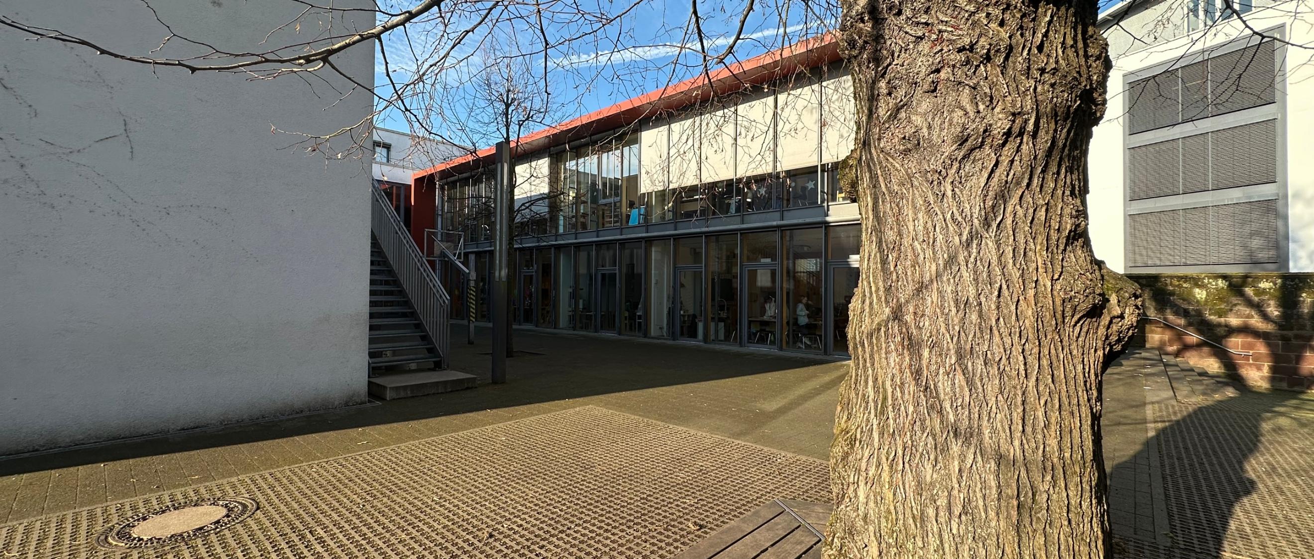 Man blickt auf eine hölzerne Baumbank auf dem Schulhof der Grundschule am Dom.