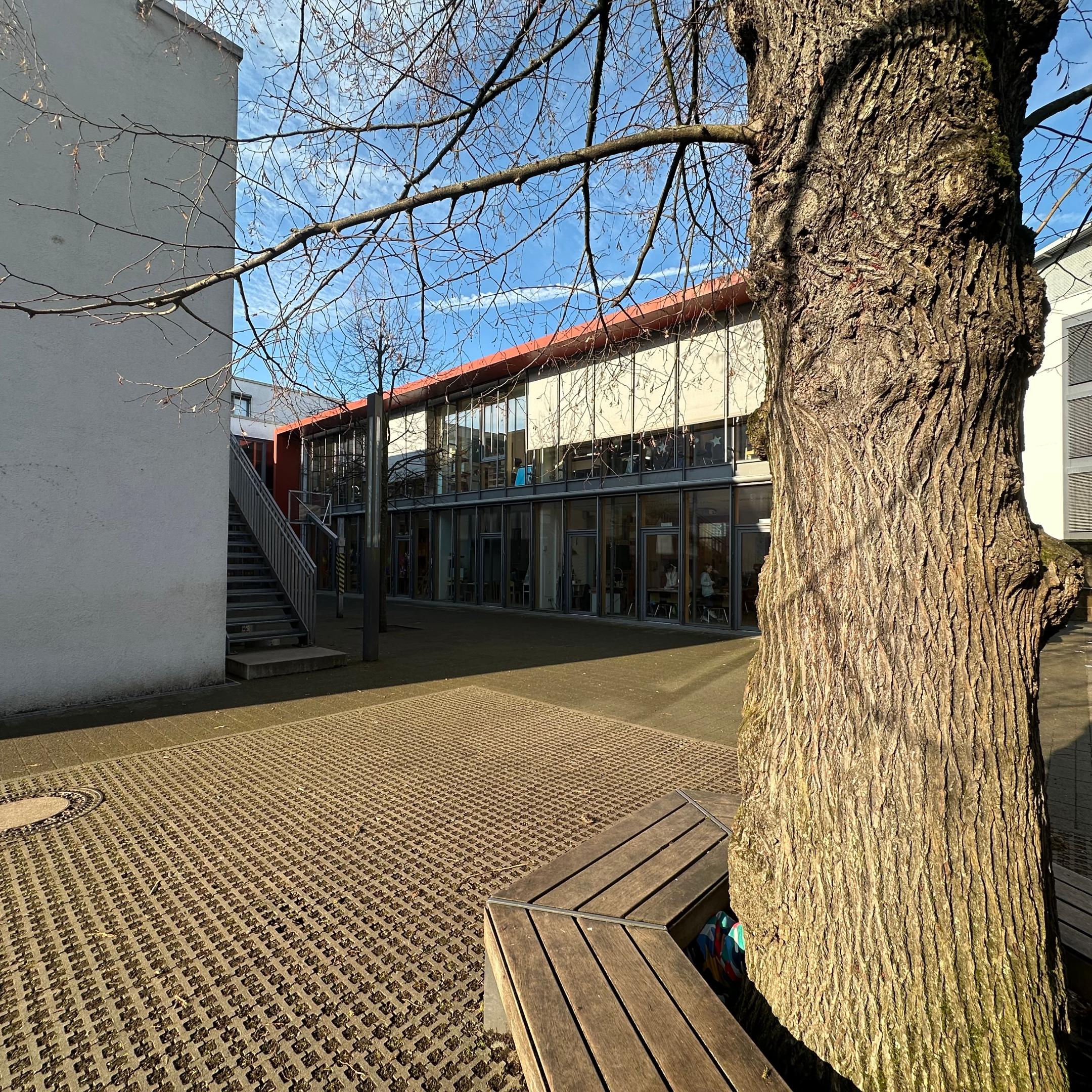 Man blickt auf eine hölzerne Baumbank auf dem Schulhof der Grundschule am Dom.