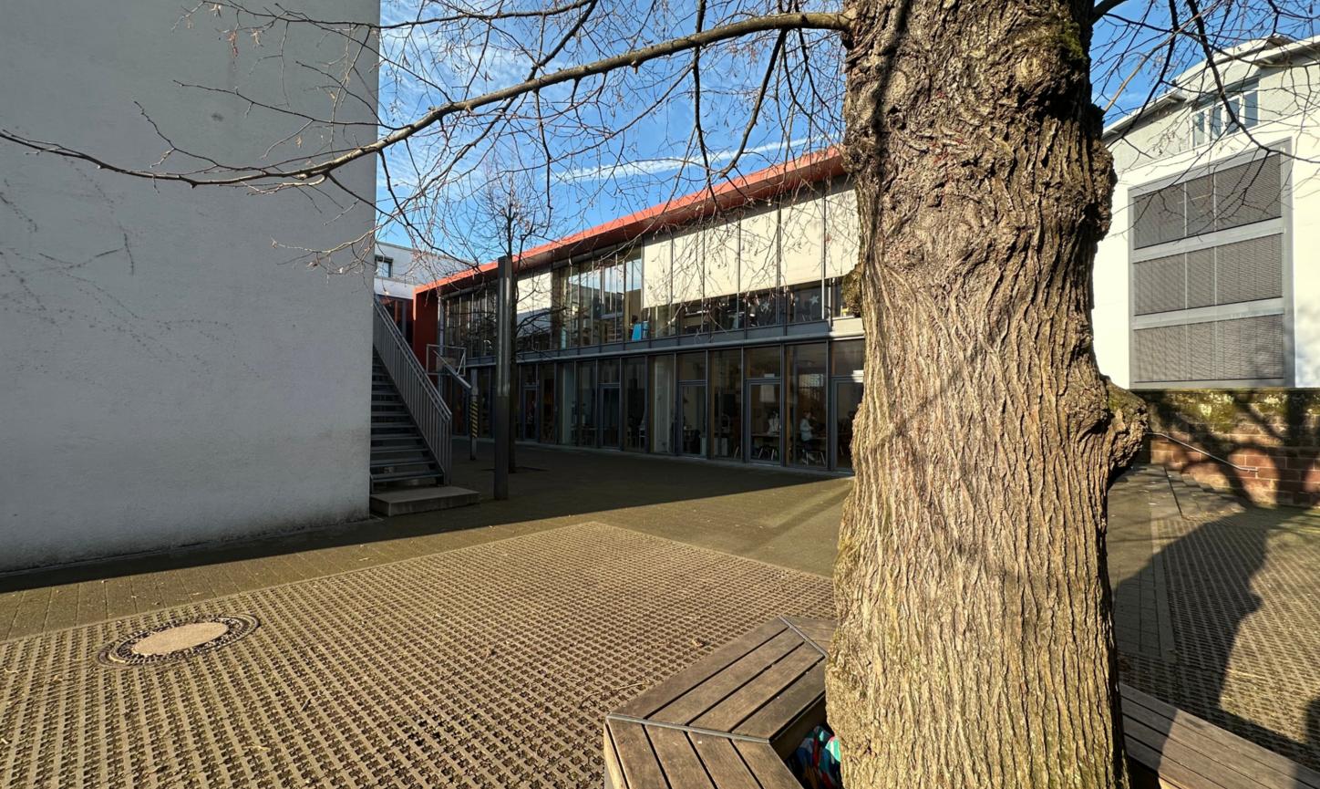 Man blickt auf eine hölzerne Baumbank auf dem Schulhof der Grundschule am Dom.
